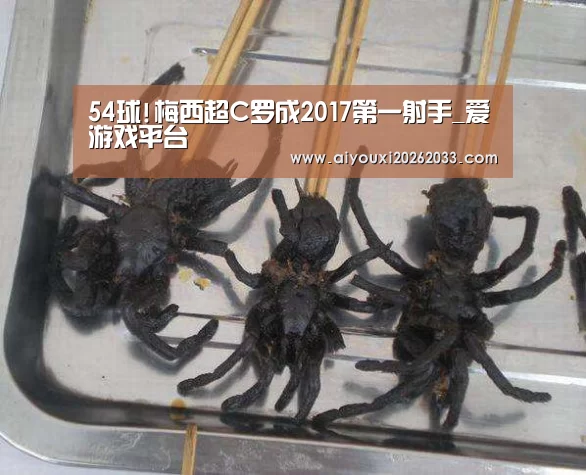 爱游戏平台