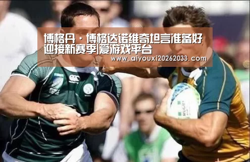 爱游戏视讯