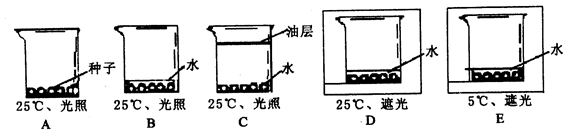 爱游戏视讯