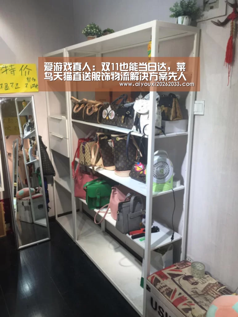 爱游戏真人:双11也能当日达,菜鸟天猫直送服饰物流解决方案先人一步(图1) 爱游戏赛事