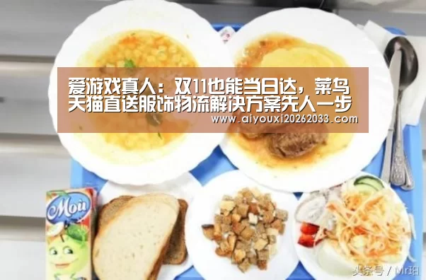 爱游戏真人:双11也能当日达,菜鸟天猫直送服饰物流解决方案先人一步(图3) 爱游戏平台