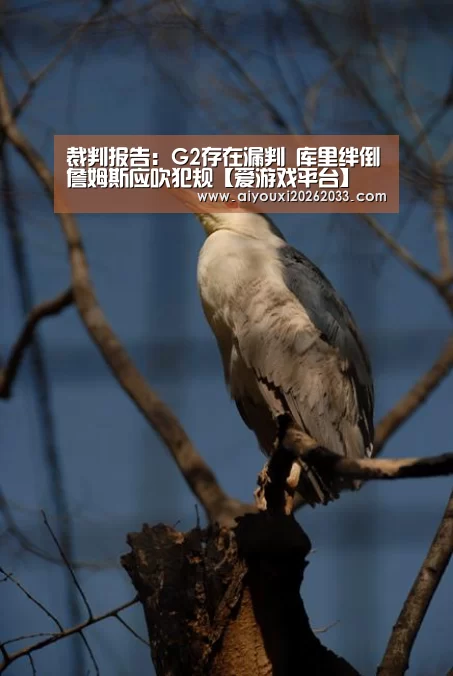 裁判报告:G2存在漏判 库里绊倒詹姆斯应吹犯规【爱游戏平台】(图2) 爱游戏视讯